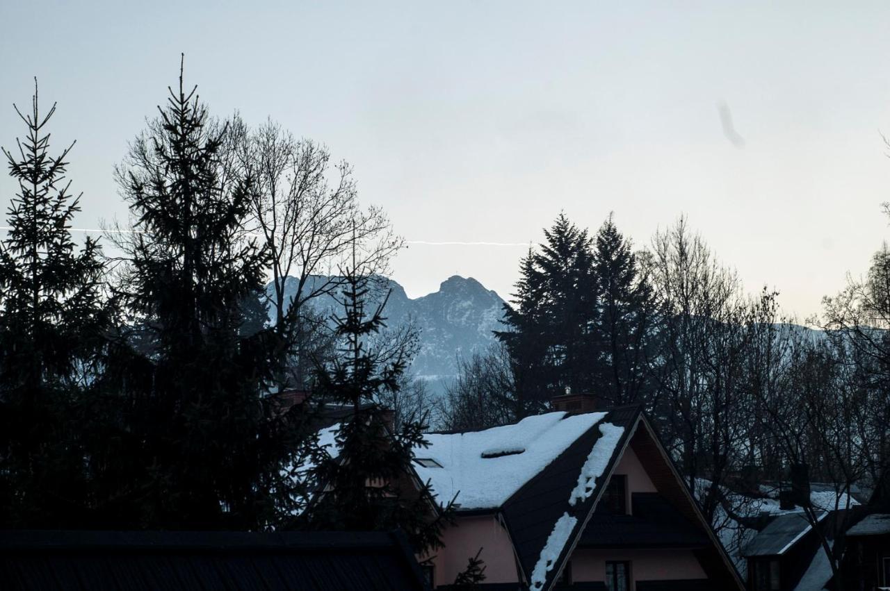 Villa Maja Zakopane Ngoại thất bức ảnh